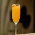 Mimosa