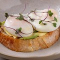 Toast Avocado
