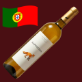 🇵🇹  Raposinha