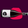 VINHO TINTO BRASILEIRO CATA BLEND 750ML