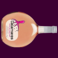 VINHO ROSÉ VERDE PORTUGUÊS CALAMARES  750ML