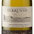 Concha y Toro Terrunyo Sauvignon Blanc