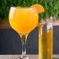 GIN CON ENERGETICO