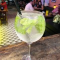 Gin & Tonic