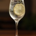 Gin Tônica