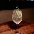 Gin and Tonic