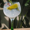Gin e Tônica Tanqueray