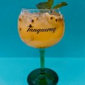 GIN TROPICAL