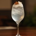 Ginger Gin
