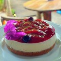 Tortinhas Cheesecake Diet Frutas Vermelhas.