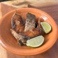 Posta de peixe da estação