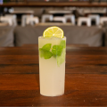 MOJITO ESPECIAL