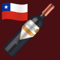 🇨🇱 San José de Apalta Clássico