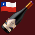 🇨🇱 VEO GRANDE reserva