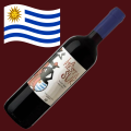 🇺🇾 La Fiesta Sur