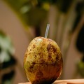 Água de Coco