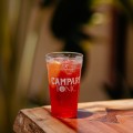 Campari Tônica