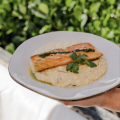Salmão Siciliano