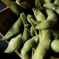 Edamame Tradicional