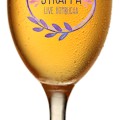 Kombucha Strappa Relaxiness 