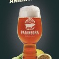 American Ipa