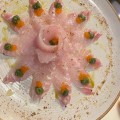 PEIXE BRANCO