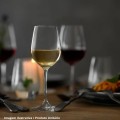 BRANCO - Sauvignon Blanc  Uko Estate
