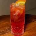 Campari Tonic