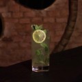 Mojito Havana