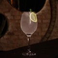 Gin And Tonic