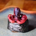 Gunkan mini polvo